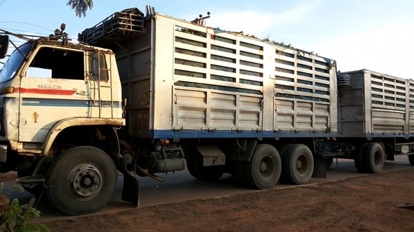 **960,000 บ.ต่อรอง**ขาย18ล้อพ่วงแม่ลูก ไม่ดั้ม ISUZU JUMBO คัสซี351xx วางเครื่อง6SD1-240เทอโบ เกียร์GIGA (ลงเล่ม) เครื่องดี แน่นดี แรง เกียร์ดีไม่หลุด ช่วงล่างใหญ่ คัสซีใหญ่ ไม่ผุ กระบะเหล็กเกษตรสภาพดี พื้นดีข้างดีไม่ผุ หัวเก๋งเดิมสภาพพอใช้ ภายในไม่สวย พ.