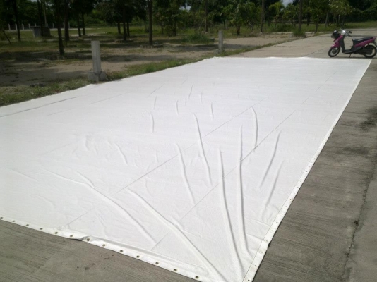 จอภาพยนตร์กลางแปลง จอภาพยนตร์กลางแปลง