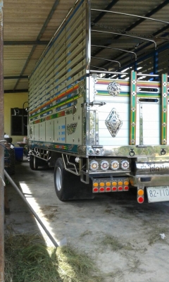 6ล้อ ISUZU 210แรงม้า รถวิ่งผัก ใช้งานน้อย รถสวยมากๆ พร้อมใช้งาน ราคาต่อรองได้ 090-7190682 087-2976734