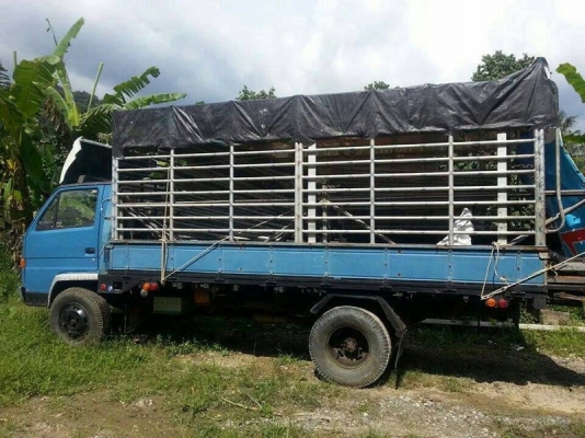 รถอีซูซุ 6 ล้อ รั้ว ( ไม่ดั้ม )  115 แรงม้า.  สนใจติดต่อ 081 - 6079515