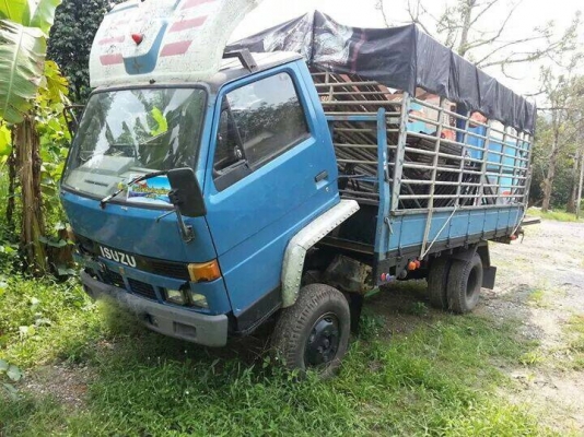 รถอีซูซุ 6 ล้อ รั้ว ( ไม่ดั้ม )  115 แรงม้า.  สนใจติดต่อ 081 - 6079515