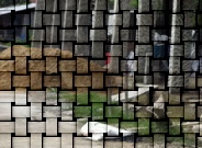 รับเหมา ซ่อมแซมบ้าน สร้างบ้าน ต่อเติมเล็กๆ น้อยๆ , งานไฟฟ้าบ้าน เดินภายในอาคารชุมชน งานท่อประปา งานเชื่อมโลหะ งานตกแต่งด้วยระดับช่างฝีมือสูง