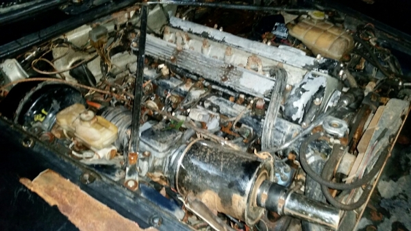 ขายขาดทุนครับ จากัวร์ XJ6 ปี 89 เครื่องเดิม6สูบ เครื่องไม่ติด พร้อมโอน ขายตามสภาพ 68,000 ขายขาดทุนครับ จากัวร์ XJ6 ปี 89 เครื่องเดิม6สูบ เครื่องไม่ติด พร้อมโอน ขายตามสภาพ 68,000