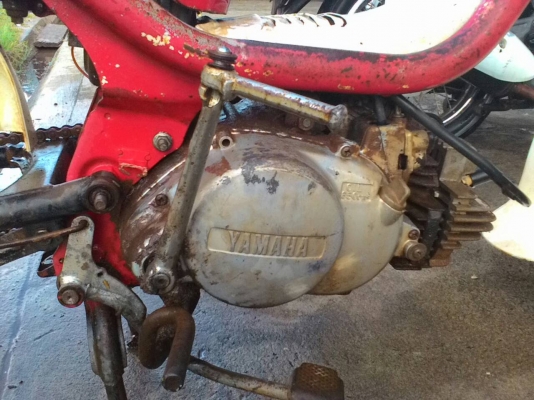 ขายชิปปี้ แห้งๆสภาพสวย 5500 ด่วนๆ สนใจติดต่อ 0933270319 เฟส ชัยณรงค์ พันพรม ID ไลน์ 1234567895790 ขายชิปปี้ แห้งๆสภาพสวย 5500 ด่วนๆ สนใจติดต่อ 0933270319 เฟส ชัยณรงค์ พันพรม ID ไลน์ 1234567895790