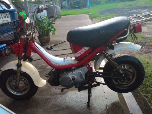 ขายชิปปี้ แห้งๆสภาพสวย 5500 ด่วนๆ สนใจติดต่อ 0933270319 เฟส ชัยณรงค์ พันพรม ID ไลน์ 1234567895790 ขายชิปปี้ แห้งๆสภาพสวย 5500 ด่วนๆ สนใจติดต่อ 0933270319 เฟส ชัยณรงค์ พันพรม ID ไลน์ 1234567895790