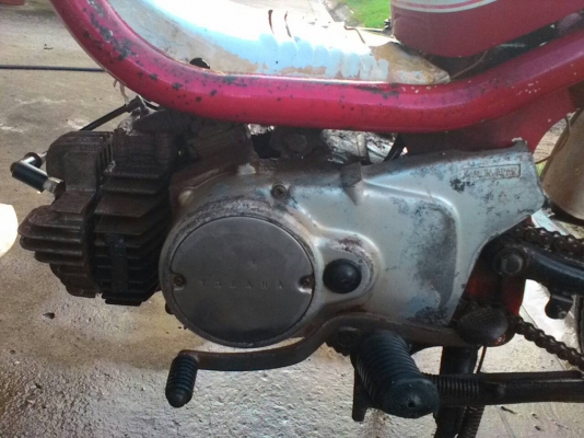 ขายชิปปี้ แห้งๆสภาพสวย 5500 ด่วนๆ สนใจติดต่อ 0933270319 เฟส ชัยณรงค์ พันพรม ID ไลน์ 1234567895790 ขายชิปปี้ แห้งๆสภาพสวย 5500 ด่วนๆ สนใจติดต่อ 0933270319 เฟส ชัยณรงค์ พันพรม ID ไลน์ 1234567895790