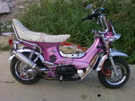 ชาลีแต่งโหลด แนวยุ่นราคาถูกๆด่วนครับ