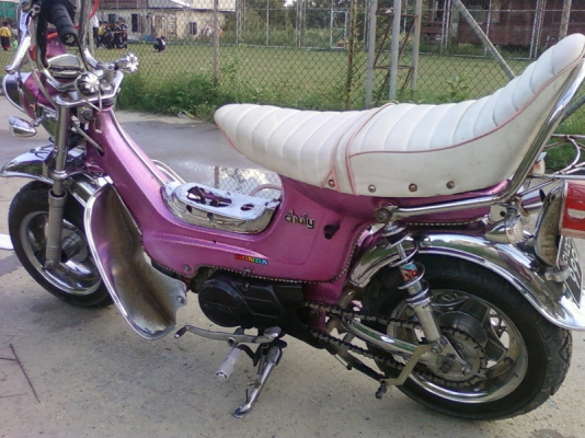 ชาลีแต่งโหลด แนวยุ่นราคาถูกๆด่วนครับ