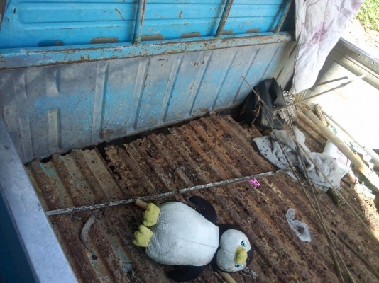 ขายดัสสัน ตามสภาพเครื่องไม่ติดมีผุตามกาลเวลามีทะเบียน ขายดัสสัน ตามสภาพเครื่องไม่ติดมีผุตามกาลเวลามีทะเบียน