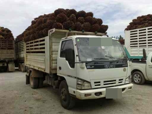 ขาย 6 ล้อดั๊ม ISUZU NQR 150 แรงม้าปี 51 สวยๆ เดิมๆ สนใจโทร 0819701072