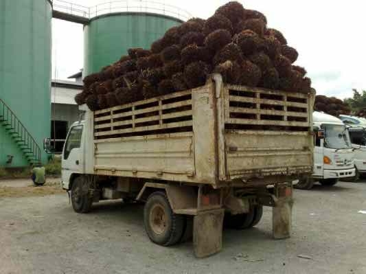 ขาย 6 ล้อดั๊ม ISUZU NQR 150 แรงม้าปี 51 สวยๆ เดิมๆ สนใจโทร 0819701072