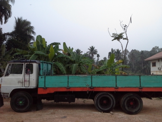 สิบล้อ เพลาเดียว