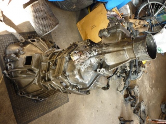 เกียร์ D4D เกียร์ D4D