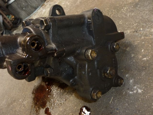 กระปุกเพาเวอร์  ไทเกอร์