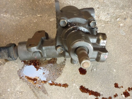 กระปุกเพาเวอร์  ไทเกอร์