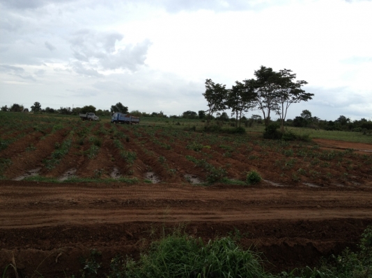 ขายที่ดิน ทำเลดี 80 ไร่ อำเภอ สีคิ้ว โคราช