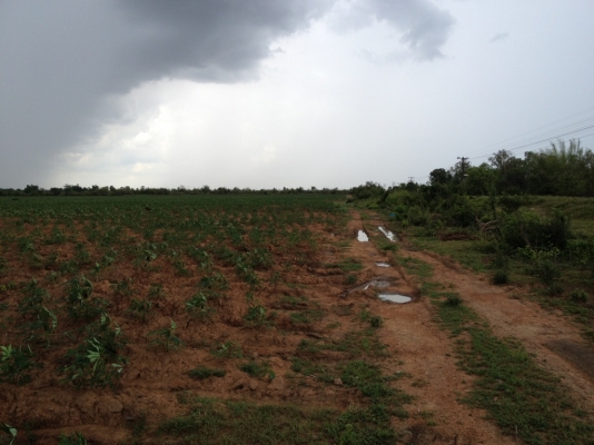 ขายที่ดิน ทำเลดี 80 ไร่ อำเภอ สีคิ้ว โคราช