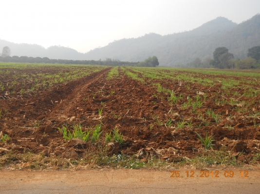 ขายที่ดินเขาใหญ่สวยๆ 55 ไร่ๆละเพียง 1700000บาท