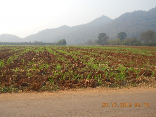 ขายที่ดินเขาใหญ่สวยๆ 55 ไร่ๆละเพียง 1700000บาท