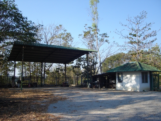 ขายที่ดิน 51 ไร่ ขายที่ดิน 51 ไร่