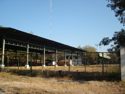 ขายที่ดิน 51 ไร่ ขายที่ดิน 51 ไร่