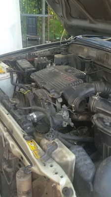 โตโยต้า ไทเกอร์ โตโยต้า ไทเกอร์