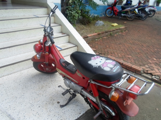 ป๊อป HONDA ชาลี สภาพสวย ๆ เดิม ๆ พร้อมขี่ 10,500