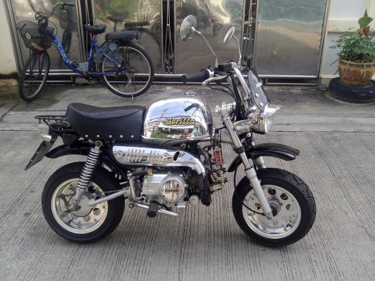 ขาย gorilla stallion GIO สภาพสวยเนี๊ยบ รถใช้เองครับ ชุดสี LIMITED