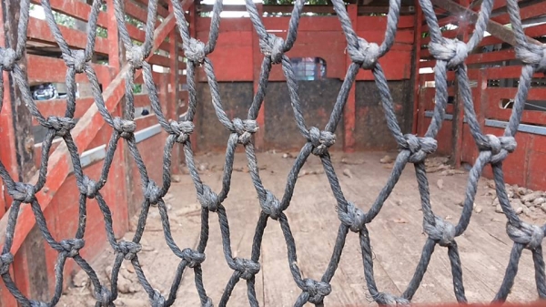 ***ขายแล้วครับขอบคุณ Truck2hand ขาย6ล้อ ISUZU NPR ประกอบ NPR59L วางเครื่อง4BE1-110แรง(ยังไม่ลง) เกียร์สั้น เครื่องดี แน่นดีแรง เกียร์ROCKY เกียร์ดีไม่หลุด ช่วงล่างใหญ่ Fหน้า-หลัง สโลวจิ๊บ คัสซีดี ยังสวย ไม่ปะไม่ผุ กระบะพื้นไม้คอกไม้สูงสภาพสวย พื้นดีข้างดี