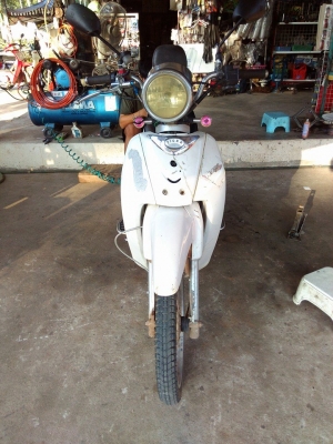 ขายไทเกอร์120CC3900บาทโทร0897074784พิดโลก