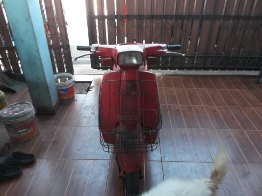 รถป๊อป ซูซุกิ