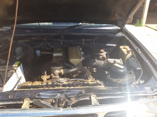 มังกรทองยอดประหยัด หัวเดียว ถูกมากๆ78000 มังกรทองยอดประหยัด หัวเดียว ถูกมากๆ78000