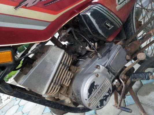 คอนคอร์ต 135