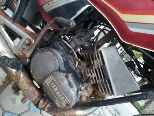 คอนคอร์ต 135