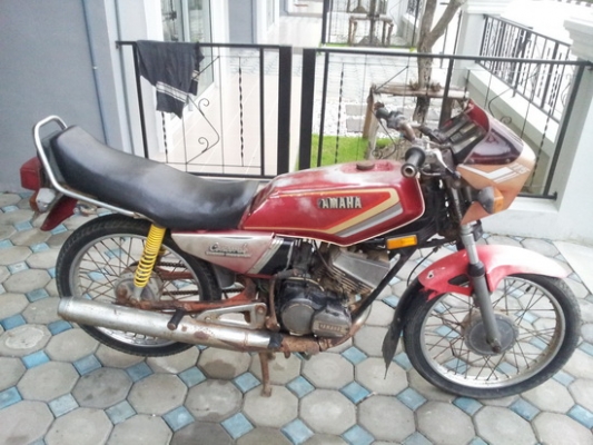 คอนคอร์ต 135