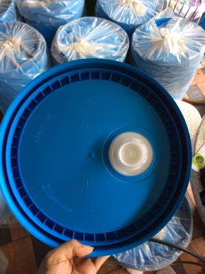 ขายถังนำ้มันพลาสติก 20 ลิตร พร้อมฝาหัวสเป้าแบบดึง ของใหม่