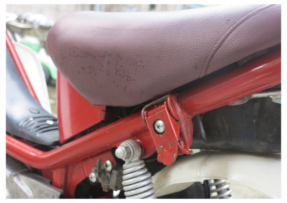 ขายถูกๆ Chappy น่ารักๆ ขายถูกๆ Chappy น่ารักๆ