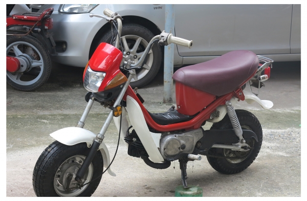 ขายถูกๆ Chappy น่ารักๆ ขายถูกๆ Chappy น่ารักๆ