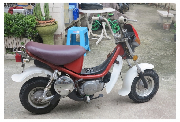 ขายถูกๆ  Chappy น่ารักๆ