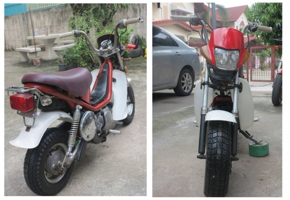 ขายถูกๆ Chappy น่ารักๆ ขายถูกๆ Chappy น่ารักๆ