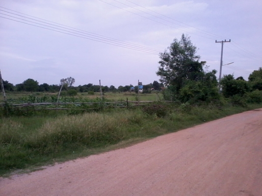 ขายที่ดินทำเลดี ติดทางสาธารณะ 3 ไร่ 2 งาน ราคา 250,000 บาทต่อไร่ อ. สีคิ้ว