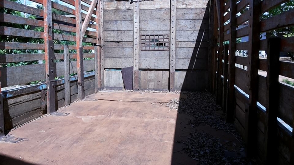 ***ขายแล้วครับขอบคุณ Truck2hand ขาย6ล้อ ช่วงล่างใหญ่ ราคาเบาๆ ISUZU KS วางหัวNPR(ยังไม่ลง) วางเครื่อง4BD1-115ฝาดำ (ลงเล่ม) เกียร์ROCK เครื่องแน่น แรง เกียร์ดีไม่หลุด เกียร์สั้นสายแล้ว ช่วงล่างใหญ่ Fหน้า-หลัง คัสซีเสริมเหล็กบน-ล่าง หนาแข็งแรง ไม่ผุ กระบะปู ***ขายแล้วครับขอบคุณ Truck2hand ขาย6ล้อ ช่วงล่างใหญ่ ราคาเบาๆ ISUZU KS วางหัวNPR(ยังไม่ลง) วางเครื่อง4BD1-115ฝาดำ (ลงเล่ม) เกียร์ROCK เครื่องแน่น แรง เกียร์ดีไม่หลุด เกียร์สั้นสายแล้ว ช่วงล่างใหญ่ Fหน้า-หลัง คัสซีเสริมเหล็กบน-ล่าง หนาแข็งแรง ไม่ผุ กระบะปู