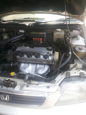 ฮอนด้าชิตี้ปี99เครื่องไฮเปอเกียออโต้ติดแก็สหัวฉีดสภาพสวยพร้อมใช้ มีแอร์แบก เอบีเอส 85000