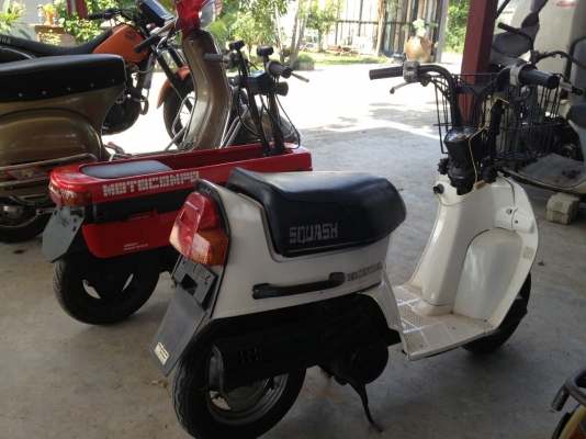 Honda squash Honda squash