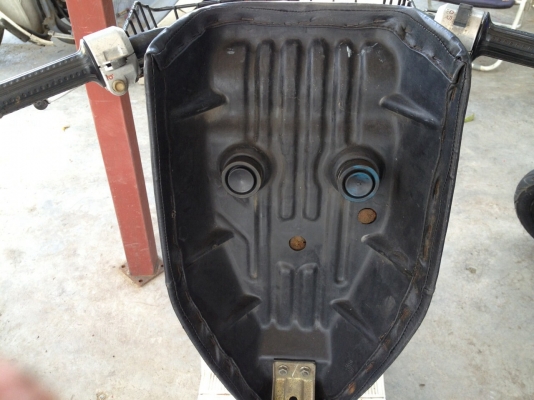 Honda squash Honda squash