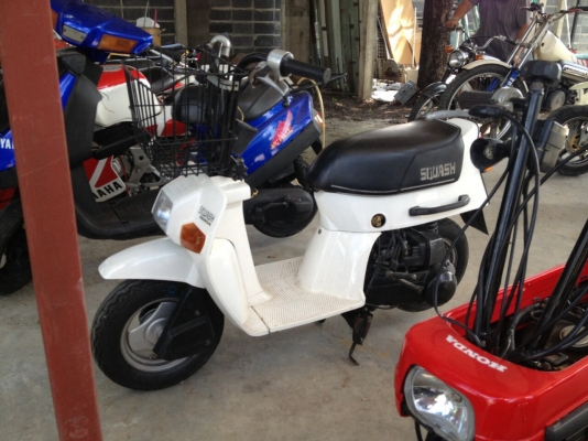 Honda squash Honda squash