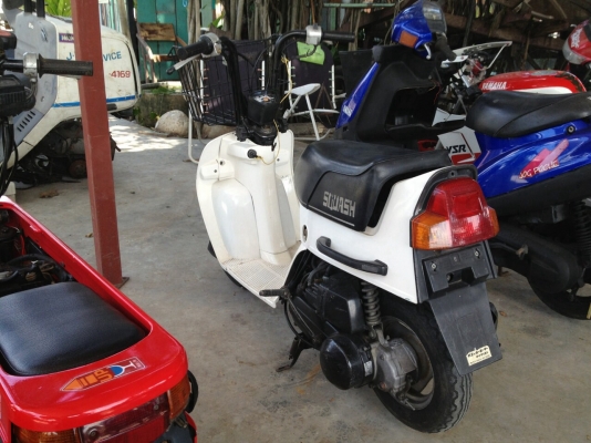 Honda squash Honda squash