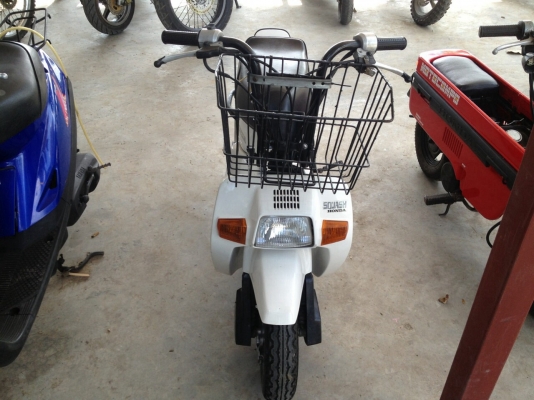 Honda squash Honda squash