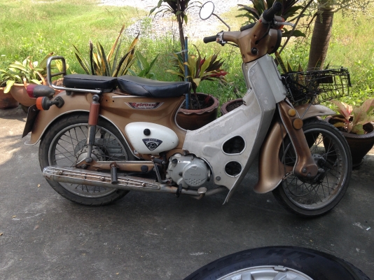 ขาย tiger retro 110 สตาร์ทมือ เดิมๆเครื่องดีไม่เคยทำ ทะเบียนพร้อมโอน