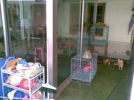 บริการสำหรับสัตว์เลี้ยงร้าน เนตร GROOMING ร้านเล็กๆร้านรับอาบน้ำตัดแต่งขนสุนัขและแมว